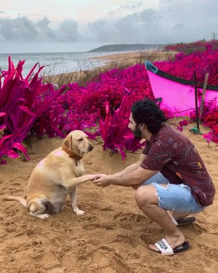Varun Dhawan spends Sunday morning with furry friend.