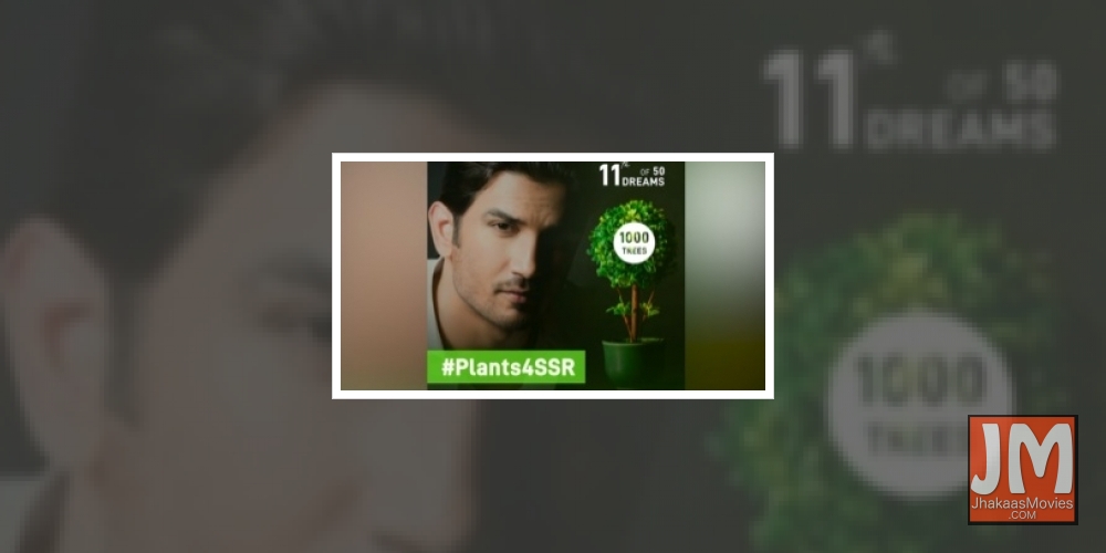 Shweta on #Plants4SSR: More than 1 lakh trees were planted across the globe