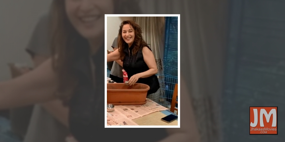 Madhuri's family pitches in to help out with her kitchen garden.