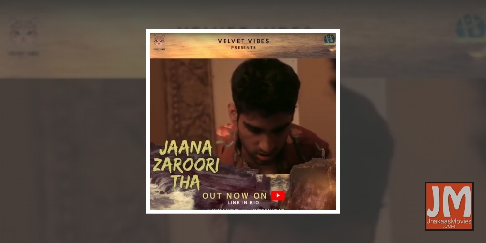 Tejas Gambhir's new song 'Jaana Zaroori tha' raises mental health awareness.