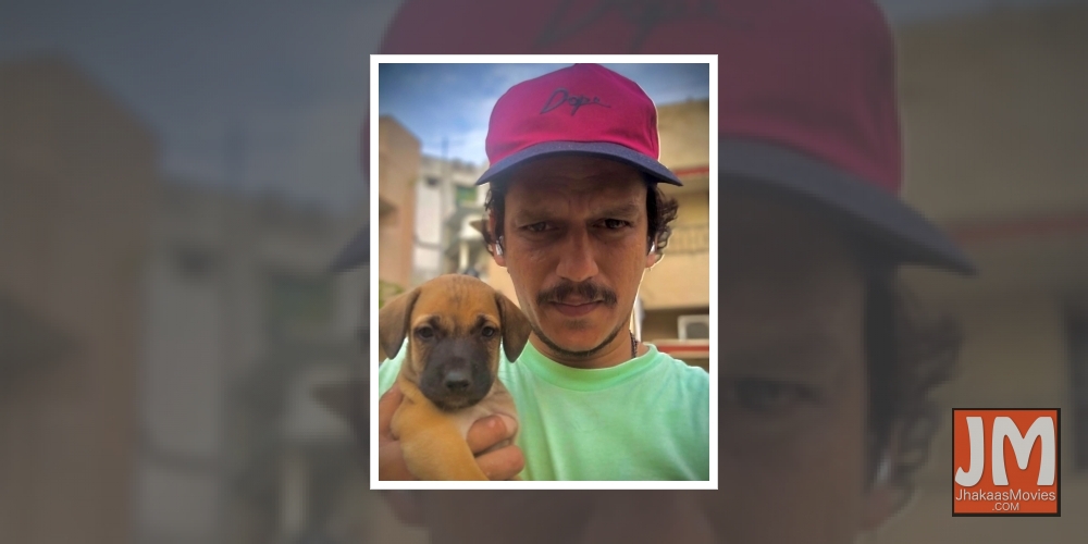 When Vijay Varma out-spammed a spam account