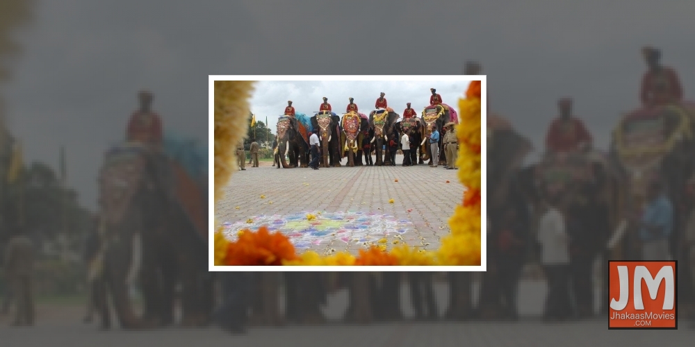 Mysuru Dasara celebrations to commence on Thursday with Gajapayana