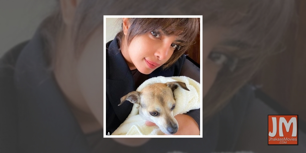 Priyanka Chopra Jonas reveals who her 'fav co-worker' is