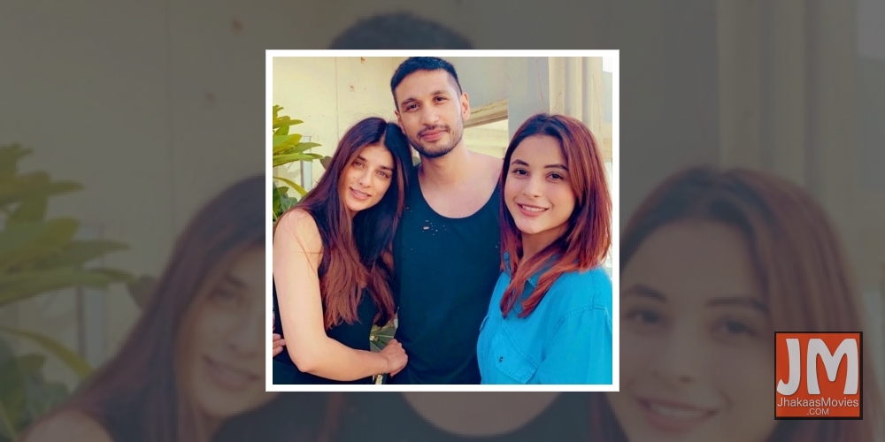 Shehnaaz Gill, Arjun Kanungo unveil unplugged cover of 'Dil diyan gallan'