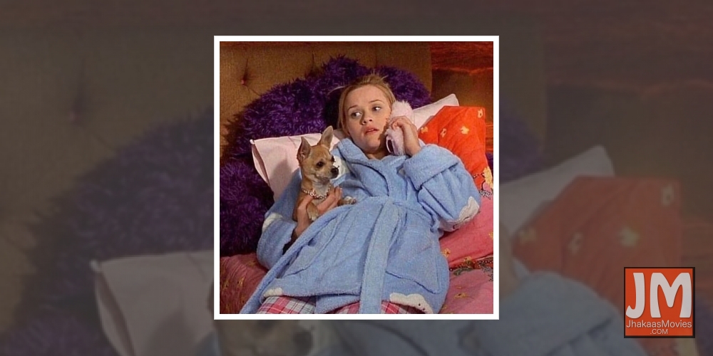 Legally Blonde 3 set for May 2022 release