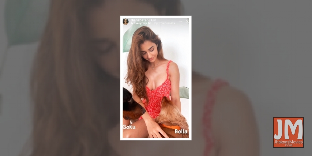 Disha Patani finds putting eyeline 'not easy'.