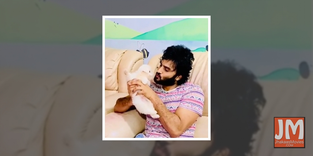 Sudheer Babu welcomes a 'Pawsome member' into his family.