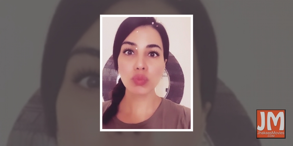 Kirti Kulhari cracks a joke on Mumbai winters.