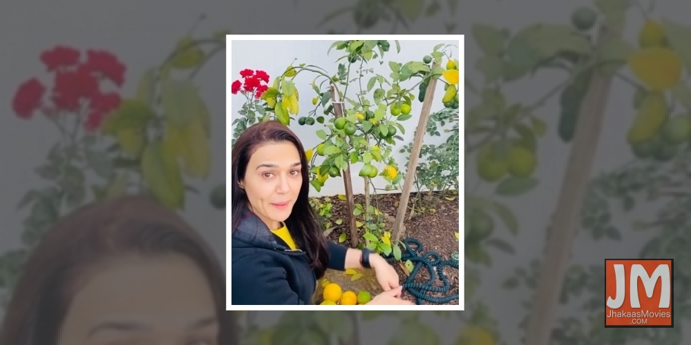 Preity Zinta is back to 'ghar ki kheti'.