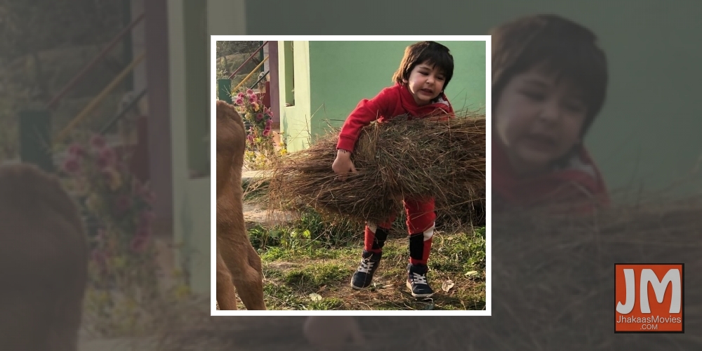 Kareena to Taimur on birthday: No one will love you more than your Amma