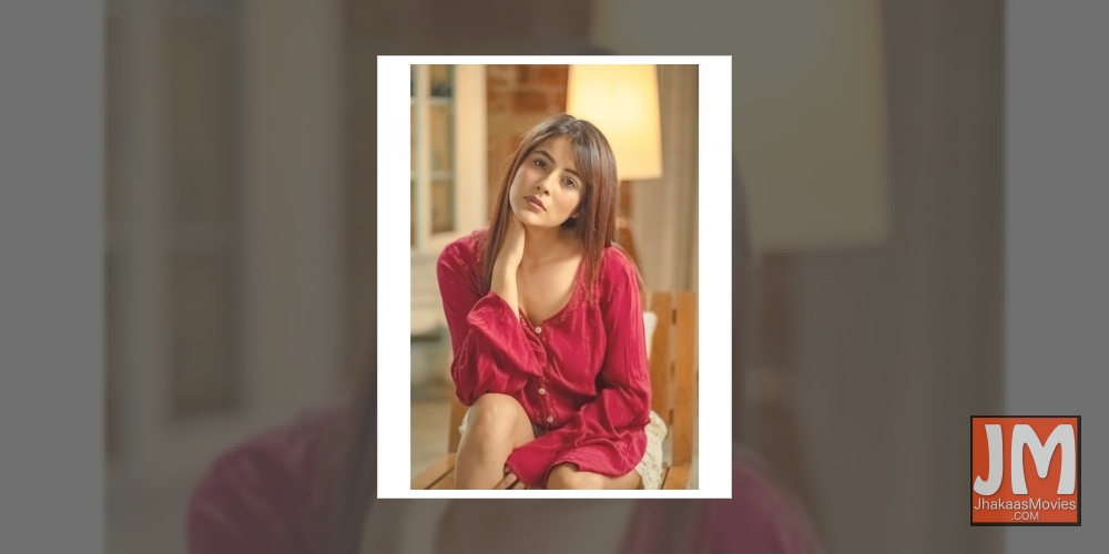 Shehnaaz Gill: 2020 has been a milestone for me