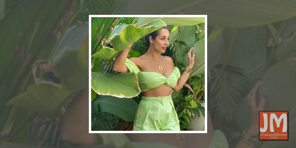 Actress Malaika Arora took to Instagram to share a moment from her version of a tropical paradise, which reminded netizens of cabbage.