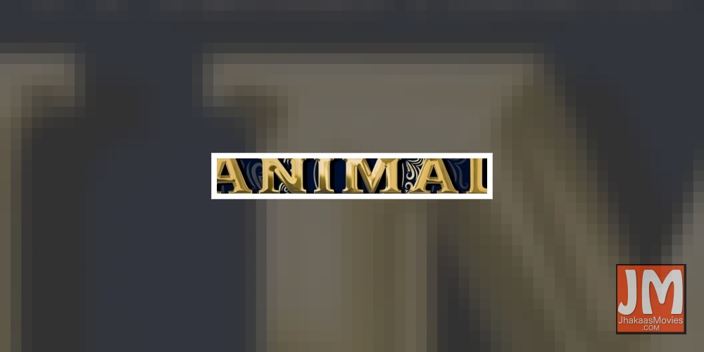 Ranbir Kapoor announces new film 'Animal'