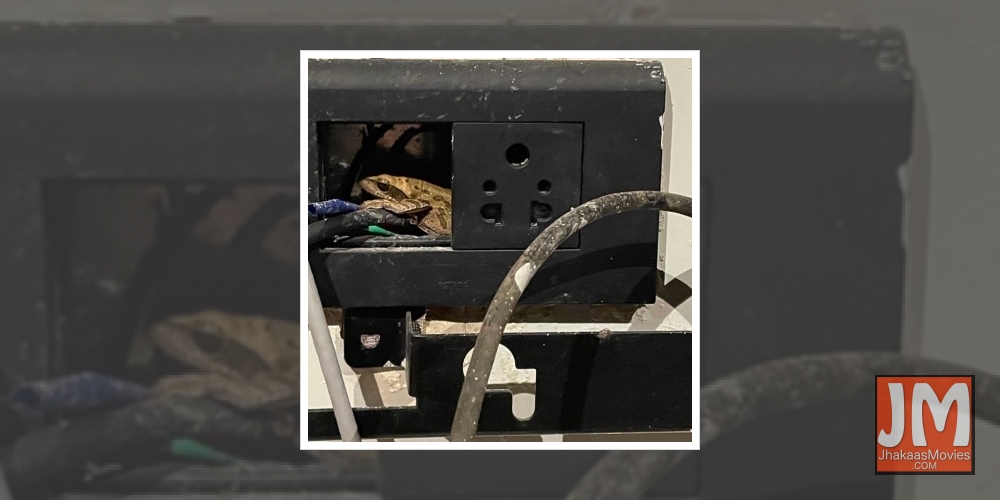 When Akshay Kumar couldn't charge his phone because of a frog.