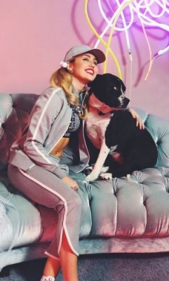 Miley Cyrus mourns pet dog