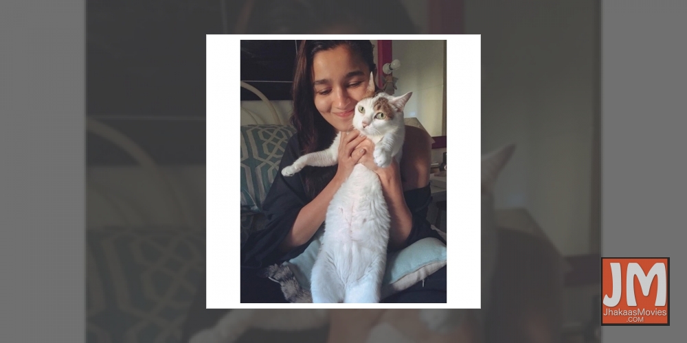 Bollywood actress Alia Bhatt on Friday mourned the death of her pet cat Sheeba. The actress also shared a couple of photographs on Instagram where she is seen posing with Sheeba.
