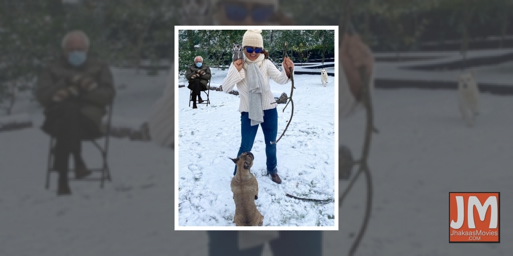 Salma Hayek joins the 'Bernie Sanders' viral meme bandwagon