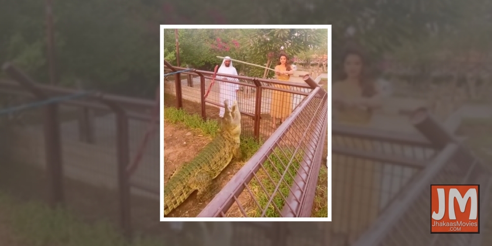 Actress Urvashi Rautela has reached a following of 34 million on Instagram. She posted a video to thank fans on Saturday, where she is seen feeding crocodiles in a wildlife Sanctuary.