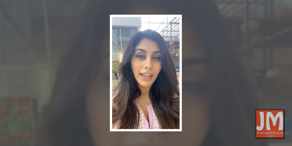 Actress Warina Hussain, who made her Bollywood debut in Loveyatri, is currently learning the Telugu language. The Afghan origin actress has shared a video on her official Twitter account to show off her spoken Telugu skills to fans.