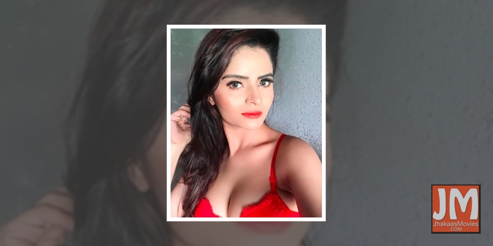 Actress Gehana Vasisth aka Vandana Tiwari, who has been arrested on allegations of shooting and uploading pornography videos on her website, is being falsely implicated, claimed her publicist.