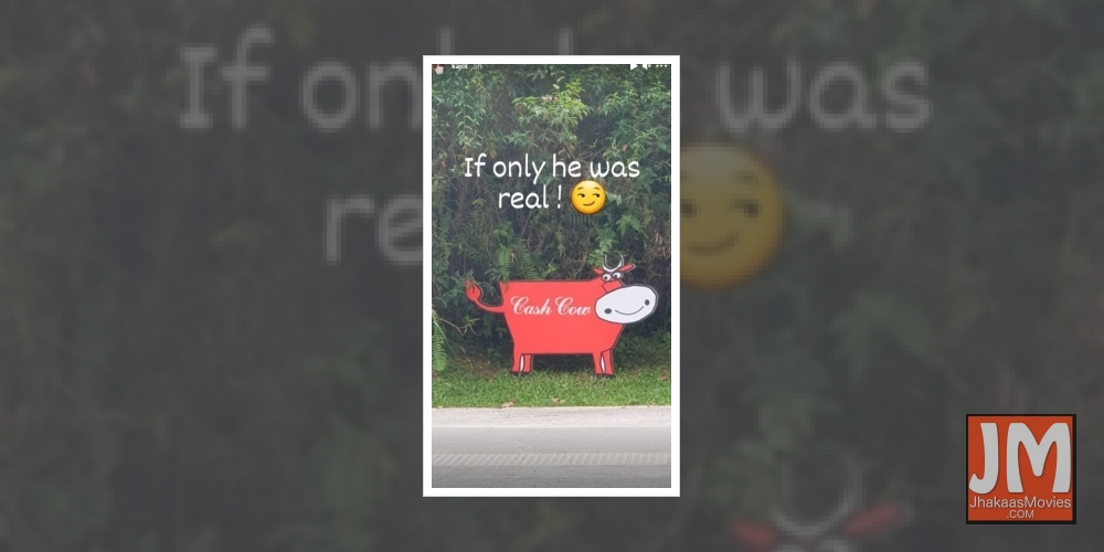 Bollywood actress Kajol is known for her sarcasm and sense of humour. On Thursday, she shared a hilarious post on her Instagram story hinting that she is looking for a cow that milks cash!