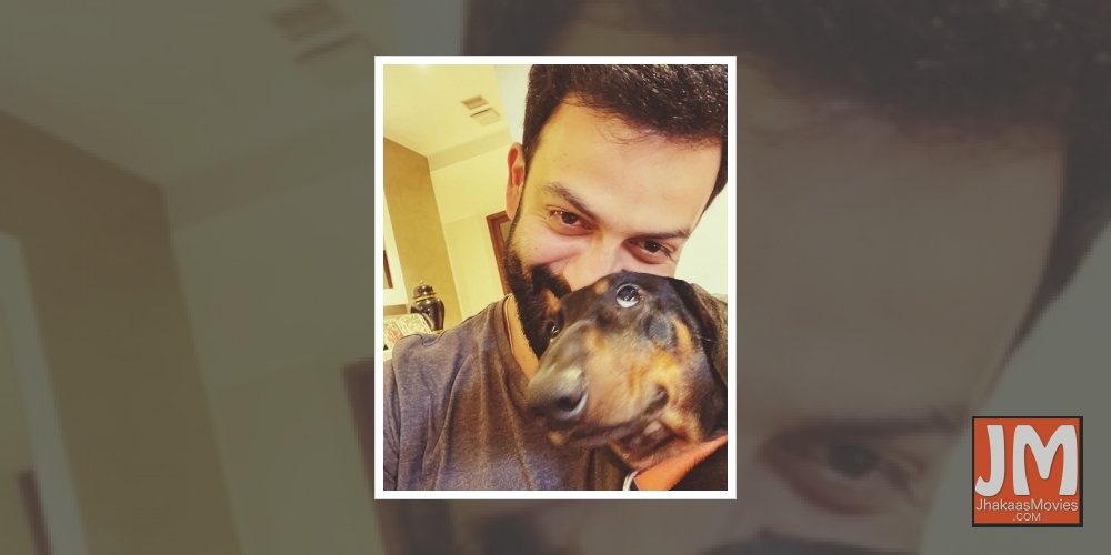 Prithviraj's pet dog has an 'eye' for wonky photo-op!