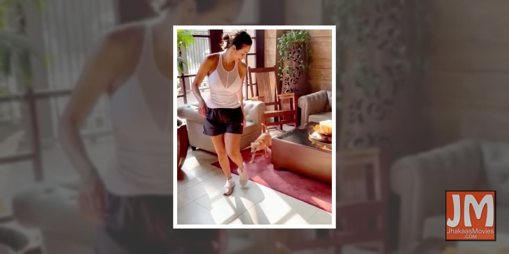 Malaika Arora shares her 'daily shenanigans'