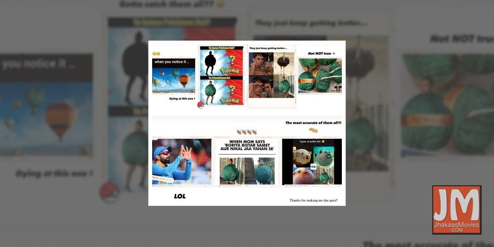 Priyanka Chopra Jonas shares memes on herself.