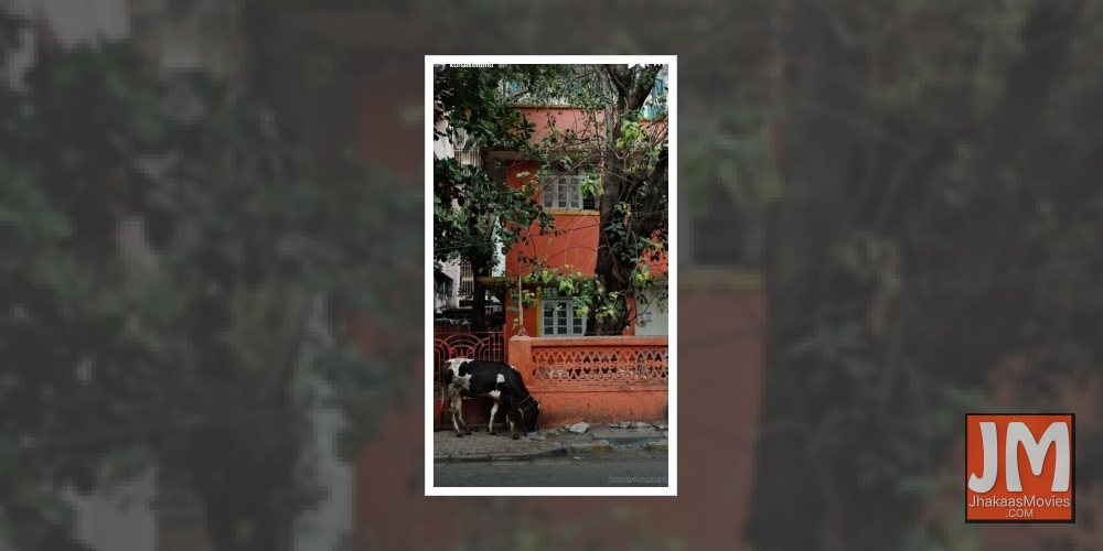 Actor Kunal Kemmu has clicked a series of pictures of the city, giving creative vent to his love for photography. The actor took to the streets of Mumbai to capture the spirit of the city through his lens.