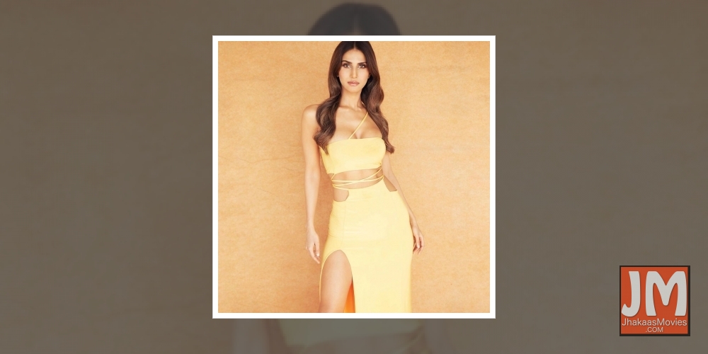 Vaani Kapoor sets temperatures soaring in new picture