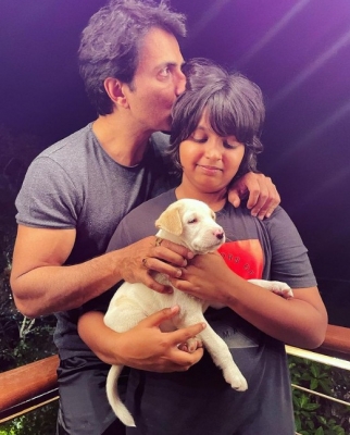 Bollywood celebs who have adopted pets.