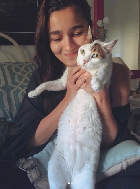 Bollywood celebs who have adopted pets.