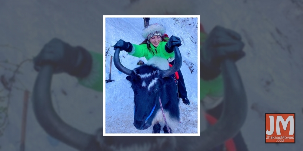 Urvashi Rautela poses on yak to celebrate 35 million Instafam.