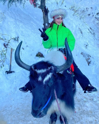 Urvashi Rautela poses on yak to celebrate 35 million Instafam.(photo:Instagram)