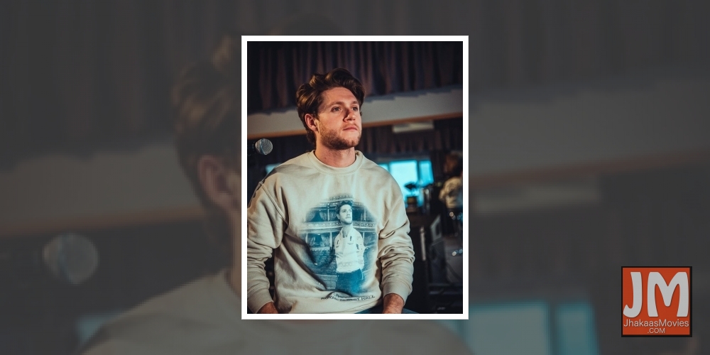 Niall Horan on 'struggling' with fame during One Direction days