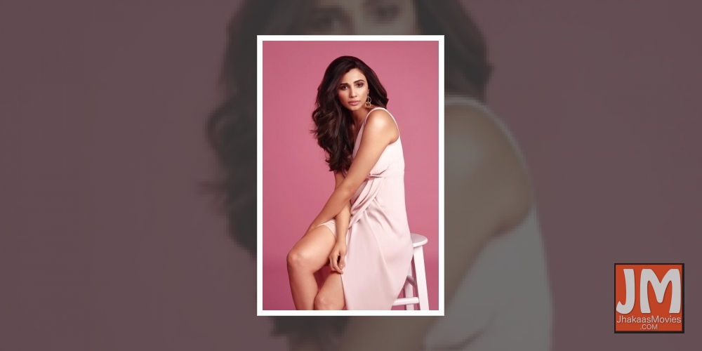 Daisy Shah: there is unmatched pleasure in feeding stray animala