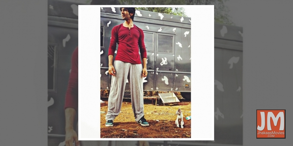 Kartik Aaryan is waiting for his Covid-19 test result.