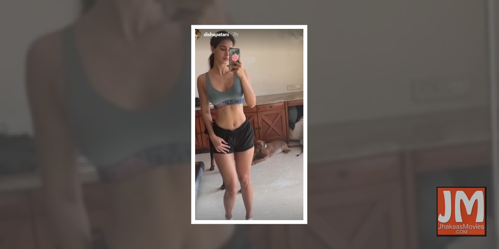Disha Patani flaunts washboard abs