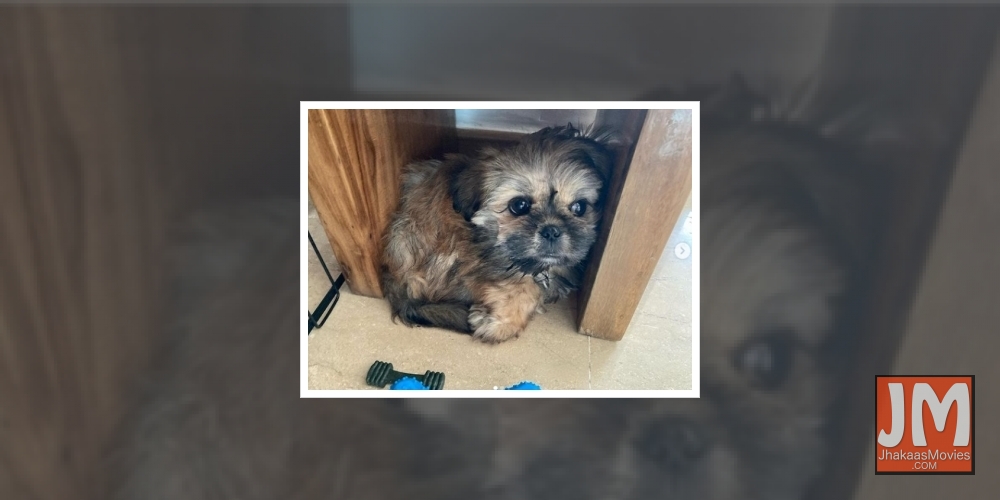 Adivi Sesh has a new 'mighty' member in his family