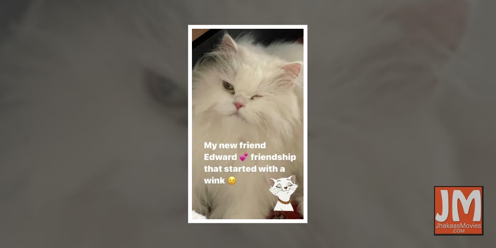 Alia's cat Edward is Neetu Kapoor's 'new friend'.