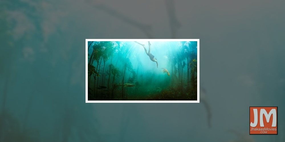 Unusual true love story of a human and an octopus wins Oscar!.