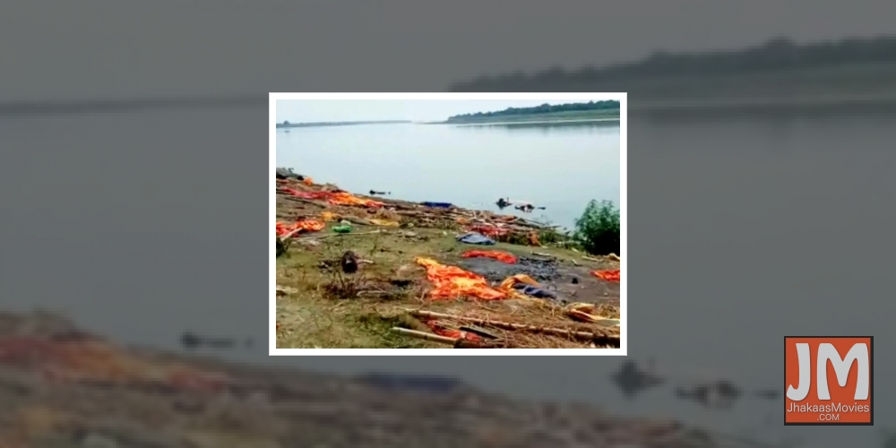 B-Town reacts with shock over dead bodies floating in Ganga