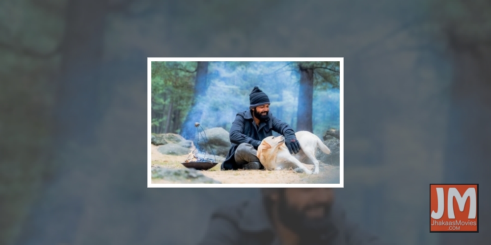 Rakshit Shetty on pan-India release of '777 Charlie': Good content has universal language