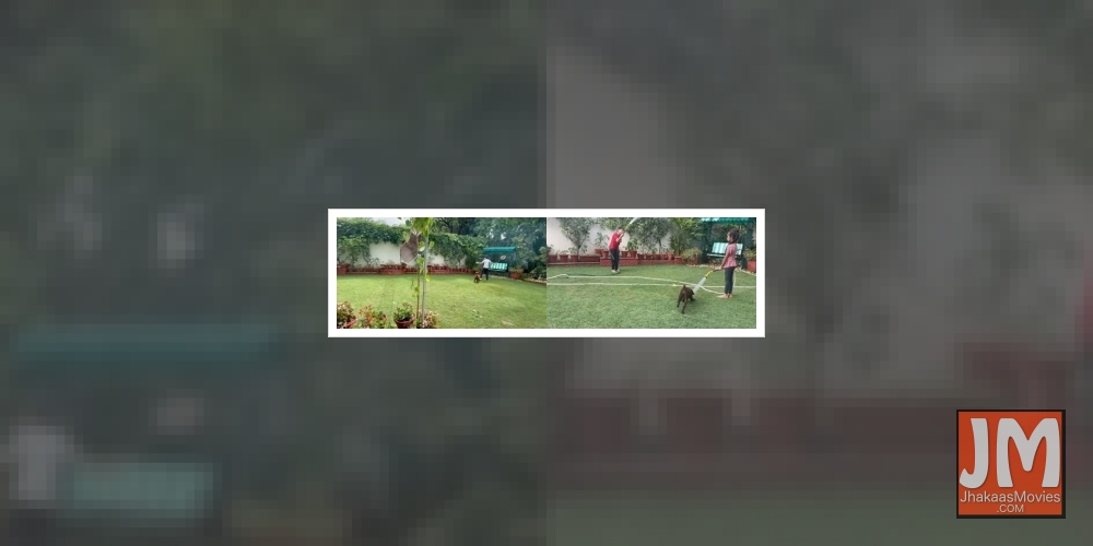 Tahira Kashyap shares funny description of puppy Peanut.