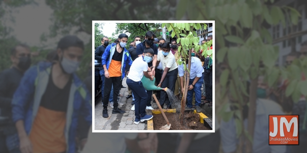 Ajay Devgn on planting trees: I can set example, all including kids should be involved