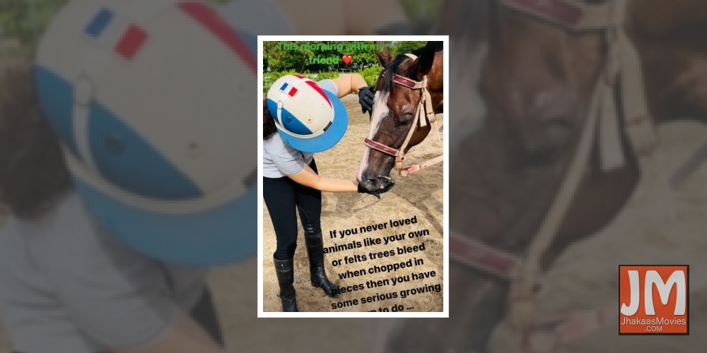 Kangana: If you never loved animals like your own, you have some serious growing up to do.