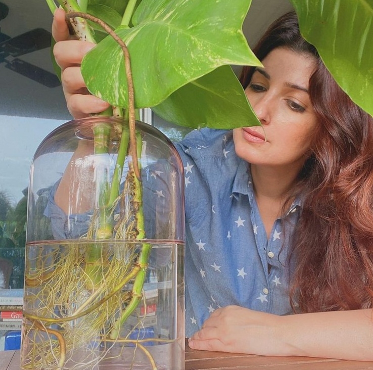 Twinkle Khanna.(photo:instagram)
