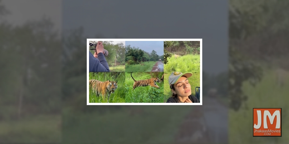 Raveena Tandon concerned about animals dying while crossing roads.