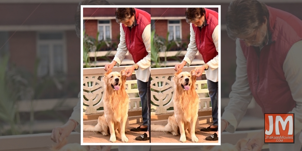 Big B shares picture posing with his 'co-star'.