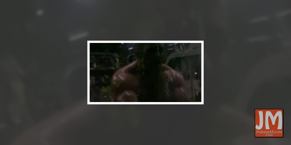 Salman Khan posts video of training for 'Tiger 3'.